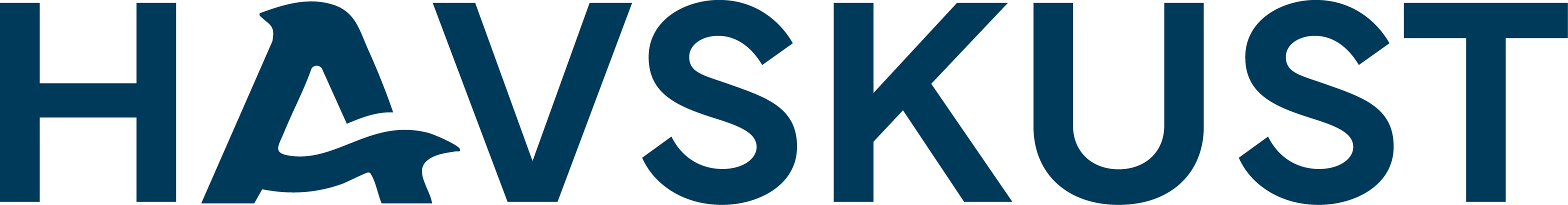 Havskust LLC - Software Development Company Logo